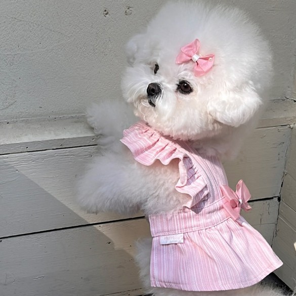 Vêtements d'été légers pour chiens, style princesse Hepburn, pour Teddy, Bichon, chiens de petite et moyenne taille et chats_voghion.com