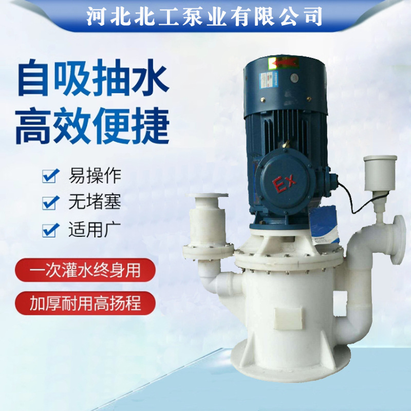 WFB型无密封自控自吸泵 400WFB铸铁污水泵单吸式立式排污泵
