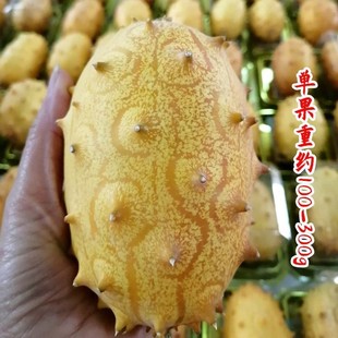 ���羳��؛���������N�ӻ��ǹ������������۹ϷN�Ӵ̽ǹϷN���ļ�