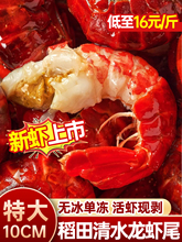 小龙虾尾大号无冰衣冷冻生新鲜单冻鲜活整箱10斤批发潜江