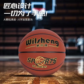 篮球;足球;乒乓球台