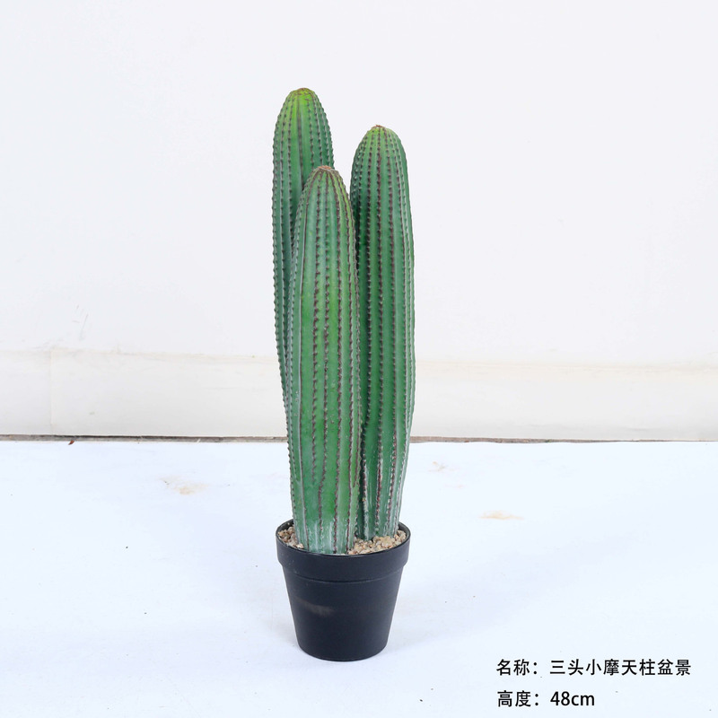 仿真龙神柱仙人掌寄生仙人球摩洛哥沙生植物造景软装样板工程装饰|undefined