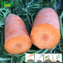 �n�����煢���}���N�� �tƤ�t���r���̨�����߲˴�����}����