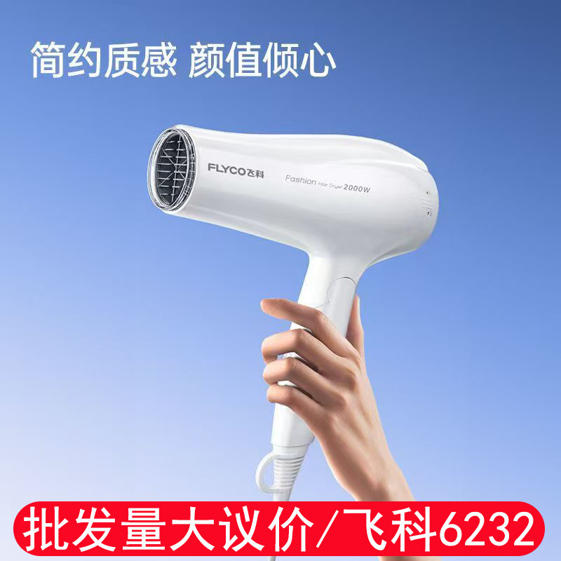 飞科吹风机家用大功率2000W护发可折叠发廊家用电吹风筒FH6232