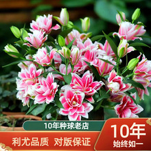 10�w��ˮ�ٺϴ�N���M�ڻ��������҃����̨�����ļ����㻨��