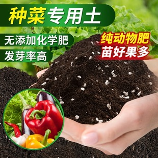 �I�B���N�ˌ��������Nֲ���߲��̨�N��Ҭ�u�ڷ��Ϲ����ЙC����