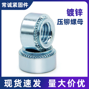 S ̼䓉��T��ĸ ���T�� ������ñ ���X��ĸ M2-M12 �F؛�Rȫ