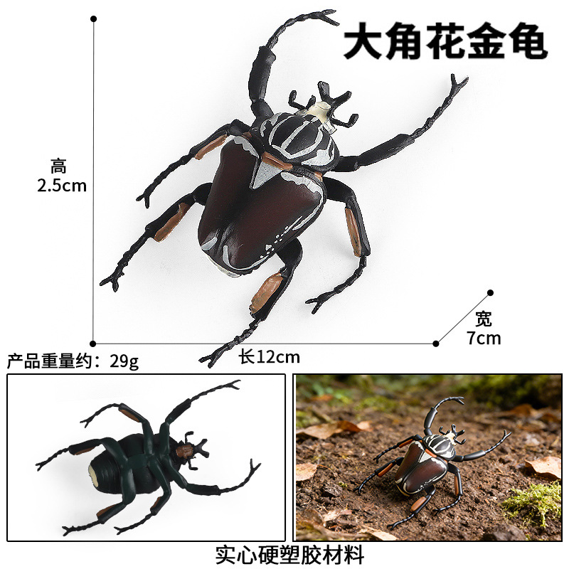 M-2800 Big Horn Golden Turtle
