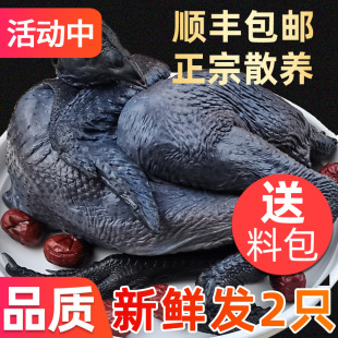 ���u���r�F�����u�����u����u�����r��ɢ�B�ߵ��u�r��������ĸ�u