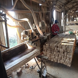 �S�� ľ�T��ɼľ�f��ָ�әnľ�Tɼľ�X��ľ�lľ�Tɼľ�X�әn