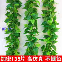 �����ٗl�G�}�~�b��҃ȼ٘��~�G����ֲ��ڒ��ړ��G�~�Ӽٻ�����