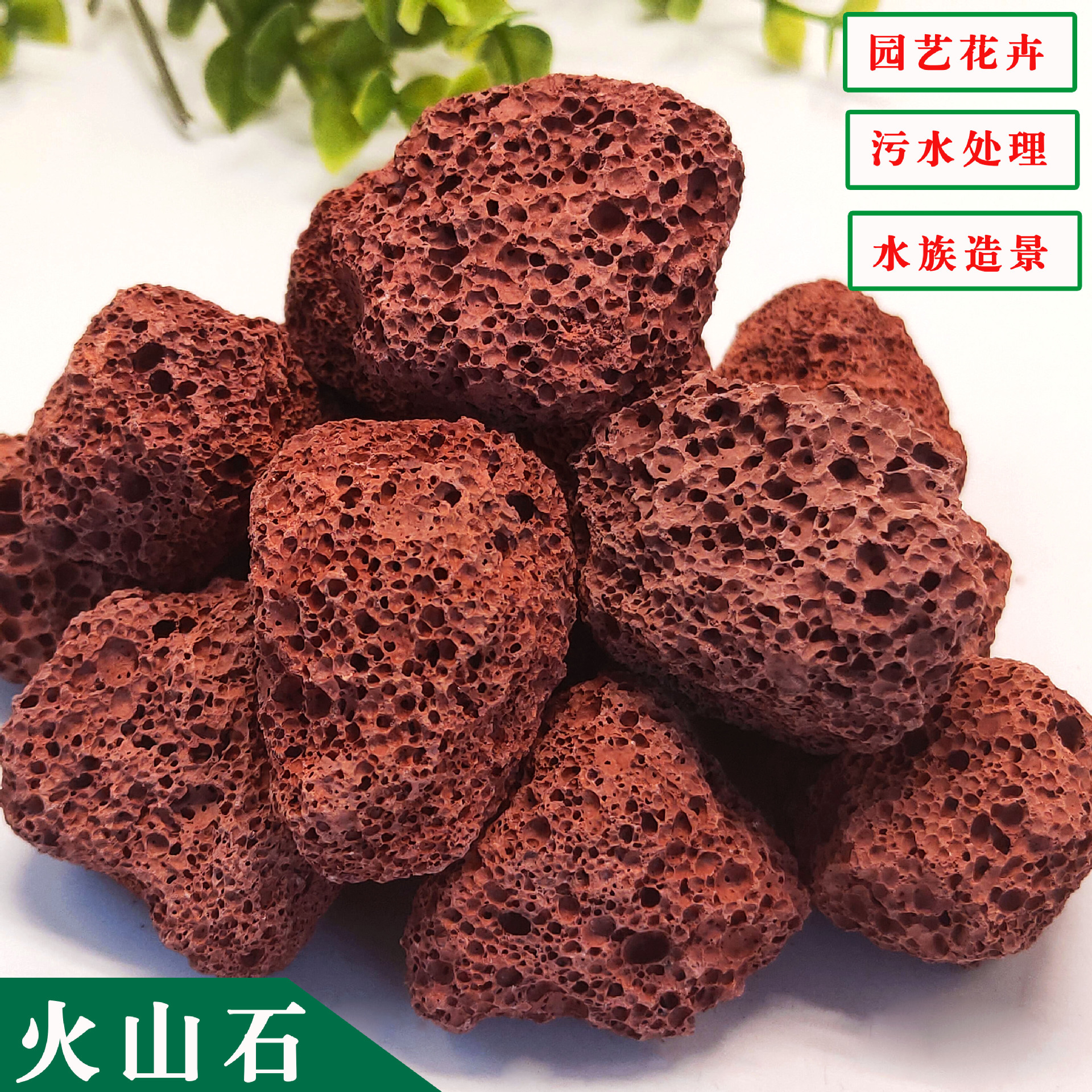 大诚的追车梦