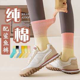 袜子女中筒秋冬季纯棉透气吸汗瑜伽健身渐变色潮袜搭配鲨鱼裤长袜