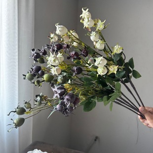 �羳���N�ߙn��z�����滨Ʒ�|؛ԴԴ�^���S���l�͏dܛ�b��c����