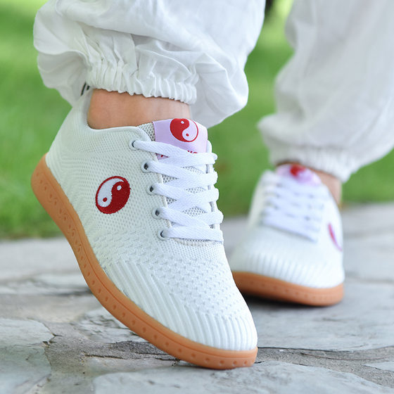 Tai Chi Shoes for Women and Men, Flying Woven Tai Chi Training Shoes, Martial Arts Training Tendon Bottom Competition Special Shoes, Tai Chi Sports Shoes