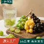 仿真家居手作水果道具