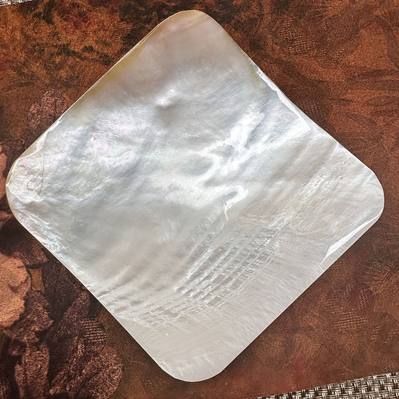 天然白色贝壳酒店家用骨碟11CM替换饰品碟拍照道具亚马逊热销|undefined