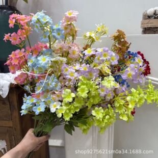 �¿���ͩ���滨���Ļ����^�����һ�c���滨��Yɭϵܛ�b�ٻ�