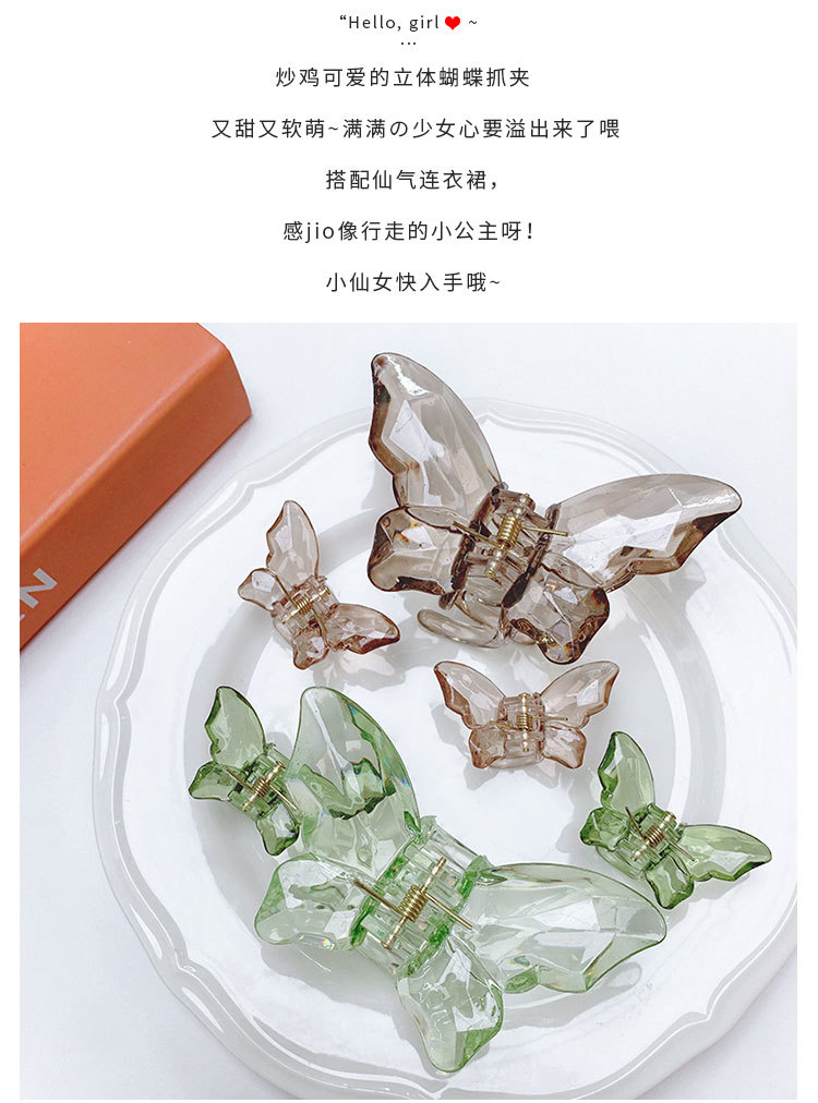 立体蝴蝶抓夹_04.jpg