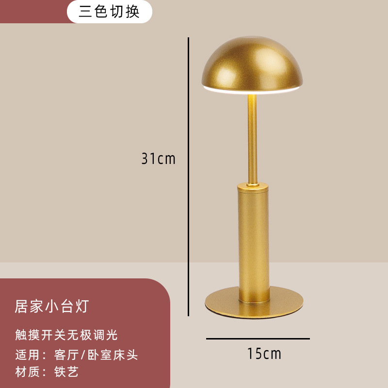 라덴 골드 + 삼색조명