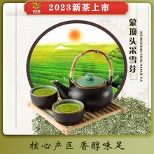 2023新茶蒙頂明前頭采雪芽毛尖125g 仙毫秀芽 信陽毛尖類綠茶