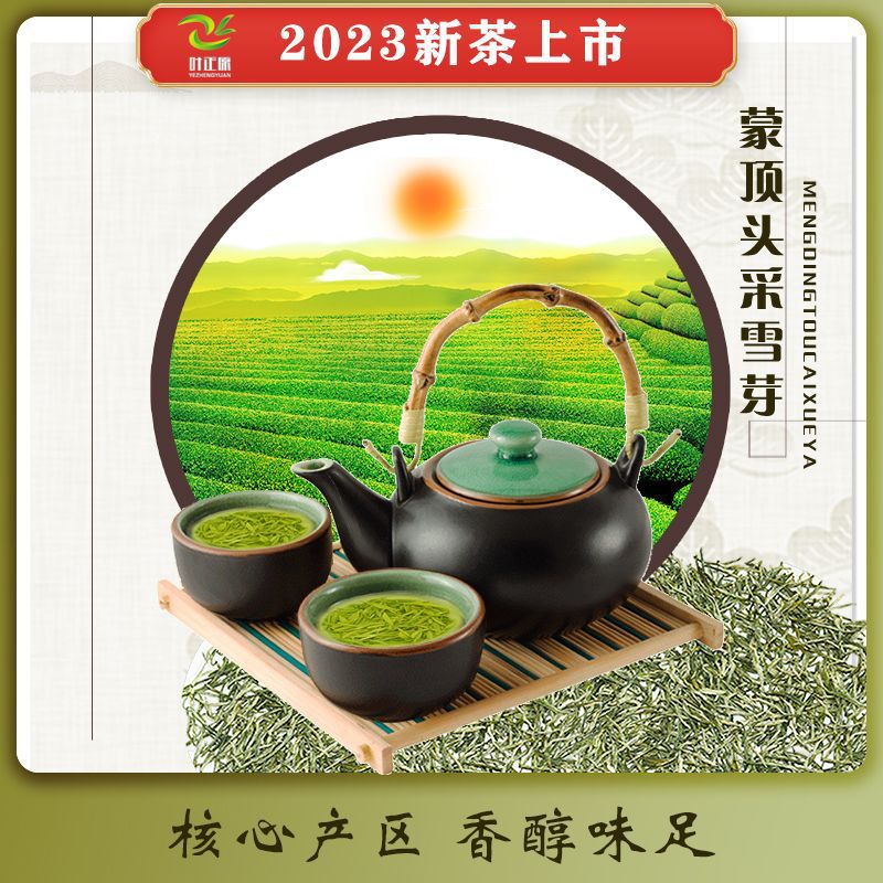 2023新茶蒙顶明前头采雪芽毛尖125g 仙毫秀芽 信阳毛尖类绿茶