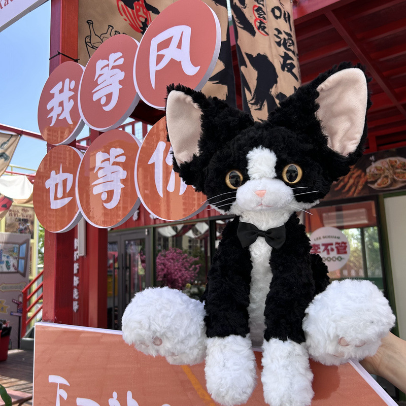 German Curly Cat Plush Toy Cute Black Cat Doll Internet Celebrity Plush Toy Birthday Gift for Girls to Give to Boyfriend German Curly Cat Plush Toy Cute Black Cat Doll Internet Celebrity Plush Toy Birthday Gift for Girls to Give to Boyfriend