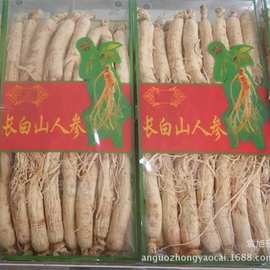 供应中药材人参带须人参白参生晒参批发各规格1000克