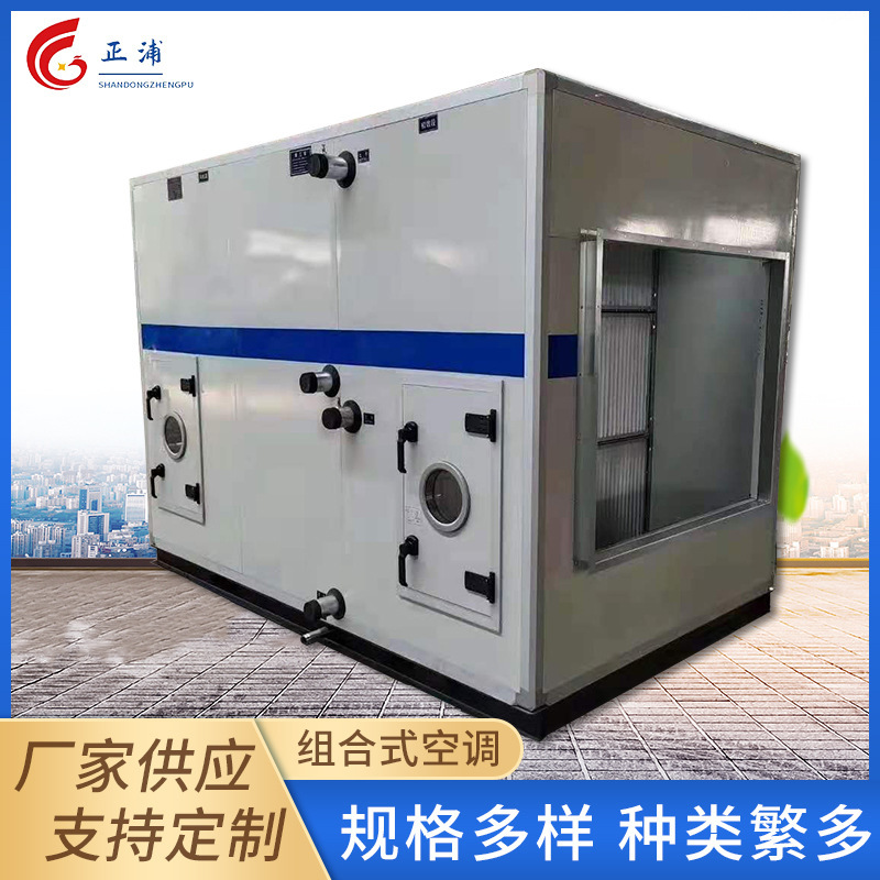 Combined Purification Air Conditioner Unit Manufacturer Customized Fresh Air Air Air Treatment Energy-Saving Frequency Conversion Heating and Cooling