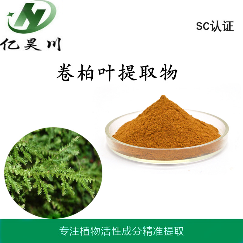 卷柏提取物10:1 复活草提取物 全水溶卷柏粉 浸膏粉现货包邮