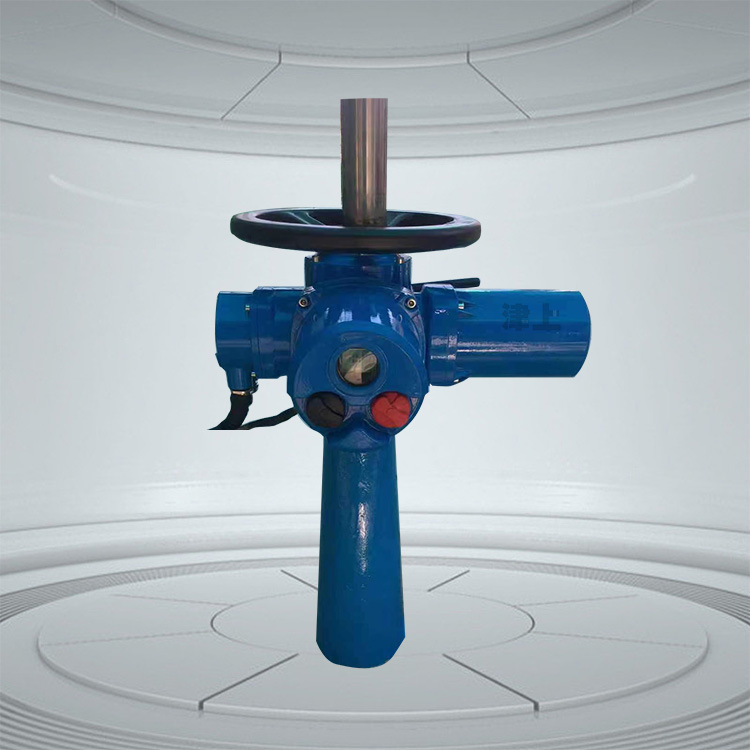 伯纳德SLM30-36LTC 多回转高压阀门电动装置 SLM30-36LTN