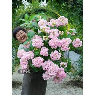 ���ٵĻ��@������o�M�Ļ��־Ͻ����̨ͥԺ��������ֲ��