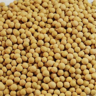 ������؛�����S�������F؛�r���Ԯa�����������{�ɰlѿһ�����l