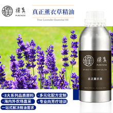 ���汣����������޹�²ݾ����o�w���沿���A���沿��Ħ��޹