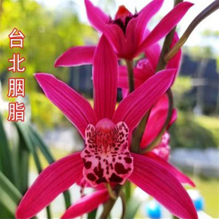 ̨����֬��������ļ��m�����S�����˴�ޥ�m���㻨����B�҃Ȼ�