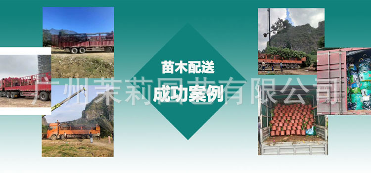 详细页面里案例