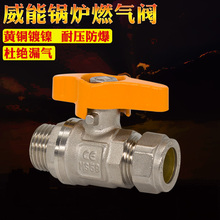 �m�����ܱڒ�t�~���y Vaillant��ů�t偠t�~�ܿ���ȼ���y�T