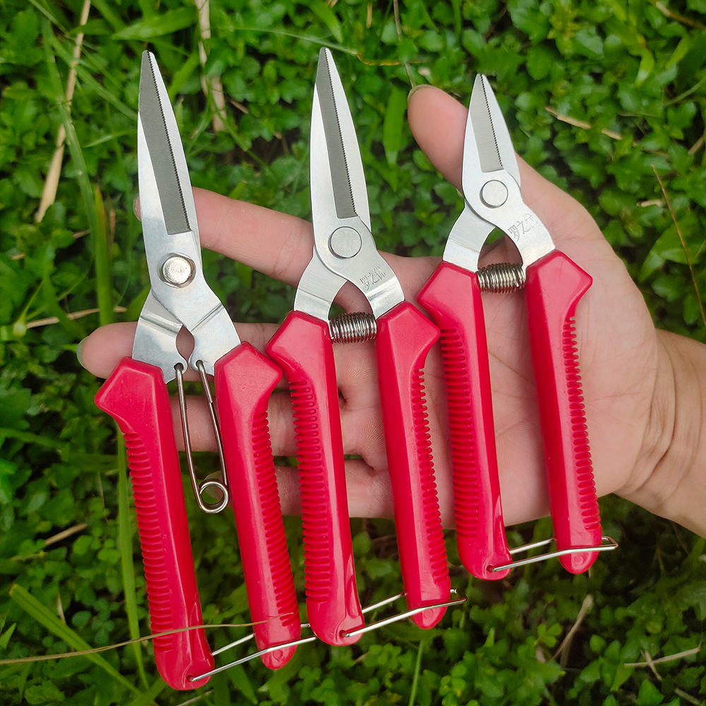 不锈钢修枝剪尖头果园摘果剪采摘水果葡萄蔬果剪刀修枝剪果树剪刀