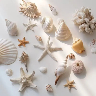 ���⺣��ؐ�������߅�ȼ��L������DIY�Ʒ����؛Դ