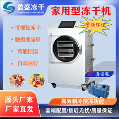 盈盛源工場知能家庭用真空冷凍乾燥機虫草ペット食品果物商用科学研究凍結乾燥機