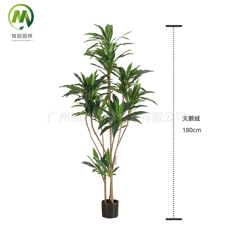 Simulación de paisaje de plantas verdes Terciopelo Planta falsa de hierro brasileño de alta gama Planta en maceta Simulación de suelo interior Planta verde con maceta