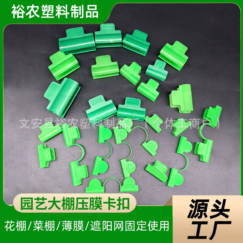 Растения для восхождения в теплице