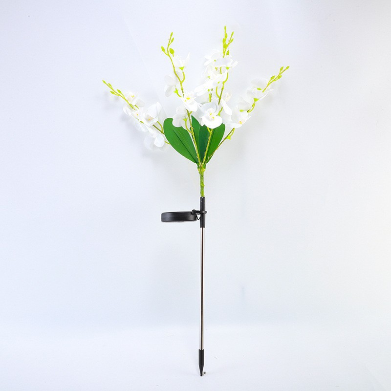 Lámpara solar transfronteriza