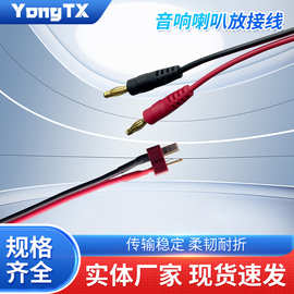 航模T型插头香蕉头电源线0.48米音响设备专用批发