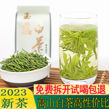 玉蕊白茶2023新茶高山250g茶农雨前绿茶珍稀茶叶安吉直销白茶安吉