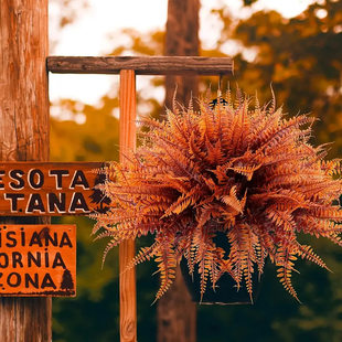 (Cross-border trading), realistic autumn decorative flowers
