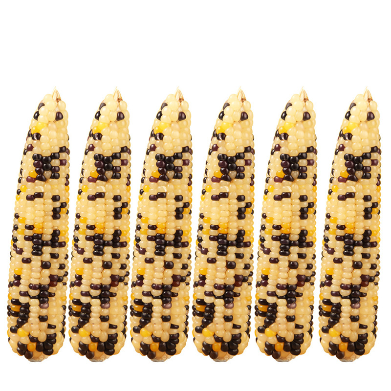 Mini maíz pequeño palo molar hámster ratón conejo oso molar snack oso oro nutritivo granos image 9