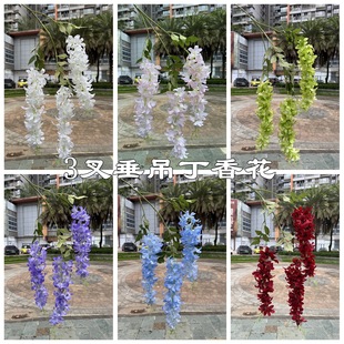 �¿����ٻ��S�����Q 3�洹�����㻨 ��ɫ��cܛ�b��피ٻ����l