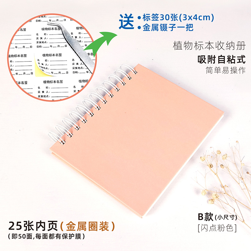 인화점 핑크(B 사이즈 소) 표본 없음