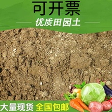 天然优质田园土壤盆栽树种植土种菜专用普通用营养花土沙土塘泥墨